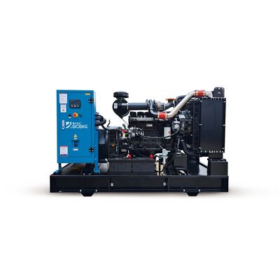 Open/Silent Portable Diesel Generator for Home Small Power 3phase 250kW 313KVA diesel Generator diesel for Sale